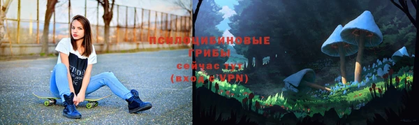 jwh Пересвет