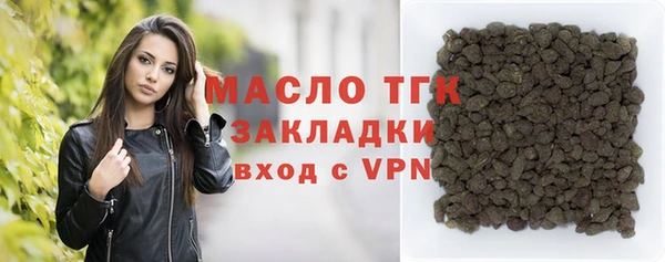 индика Пестово