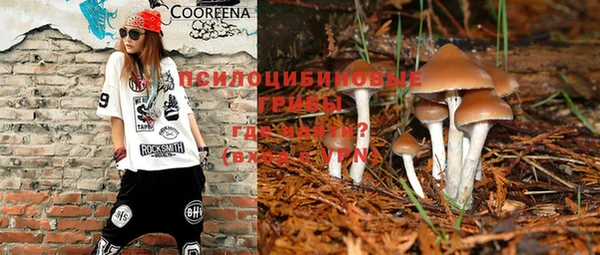 jwh Пересвет