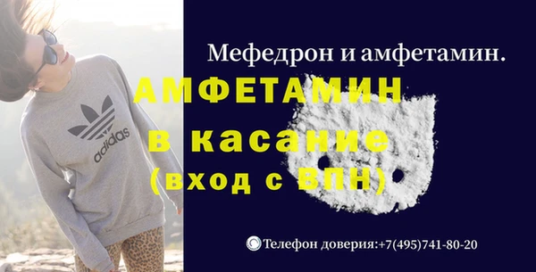 индика Пестово