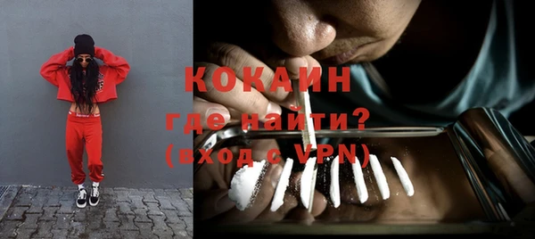 индика Пестово