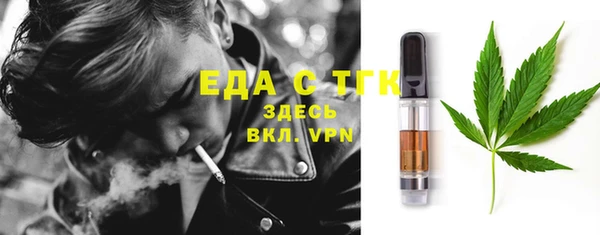 индика Пестово