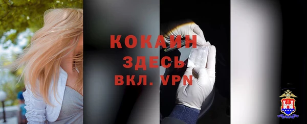 jwh Пересвет