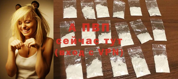индика Пестово