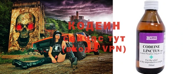 индика Пестово