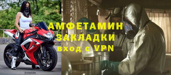 индика Пестово