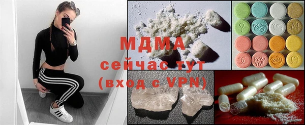 индика Пестово