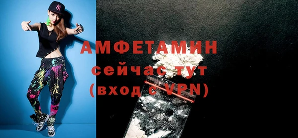 индика Пестово