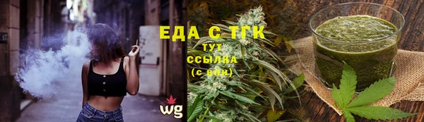индика Пестово