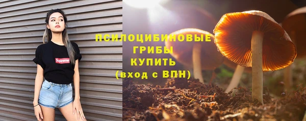 индика Пестово