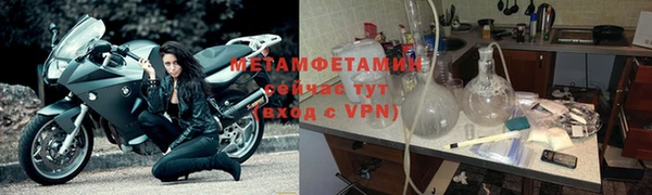 индика Пестово