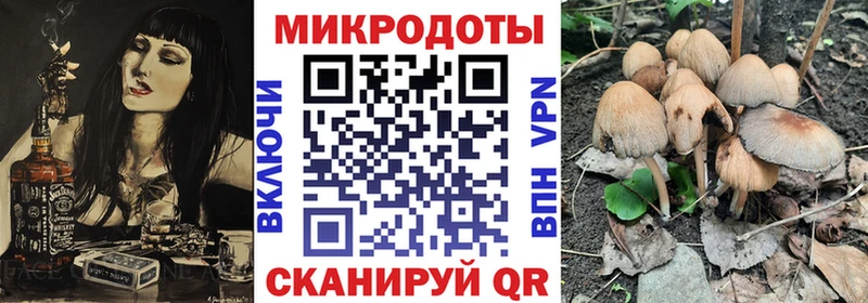 darknet формула  Баксан  Галлюциногенные грибы GOLDEN TEACHER 