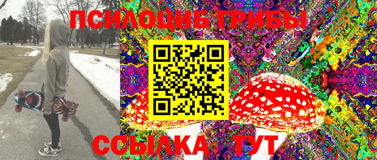 Галлюциногенные грибы Cubensis  Вход с VPN  Баксан  Псилоцибиновые грибы Psilocybe 