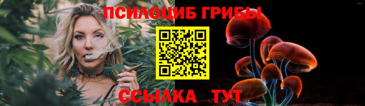 Галлюциногенные грибы Cubensis  Баксан 